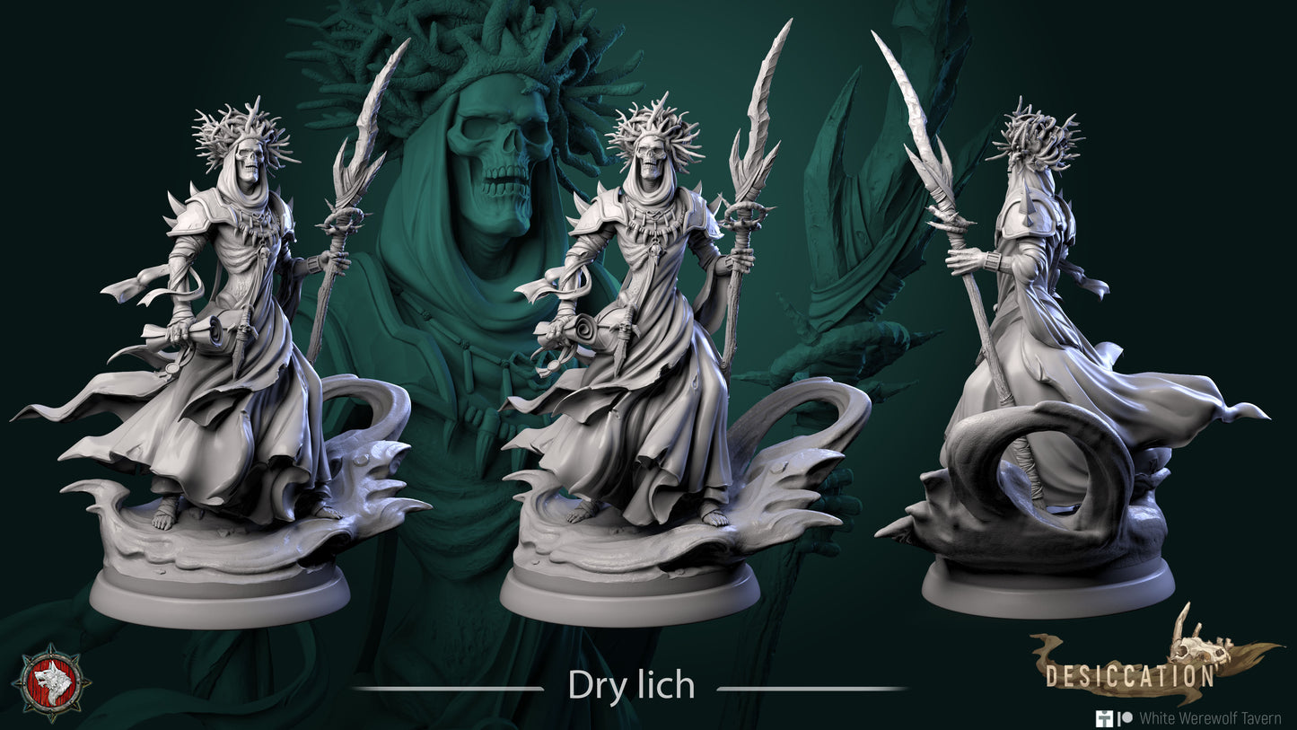 A detailed 3D render of a fantasy character named "Dry Lich - Resin 3D Print - WWT," shown from three angles. The skeletal figure wears a crown and robes, holding a staff and surrounded by flowing elements—a perfect addition to any collection of resin miniatures for wargames. The background features a greenish, ghostly version of the character.