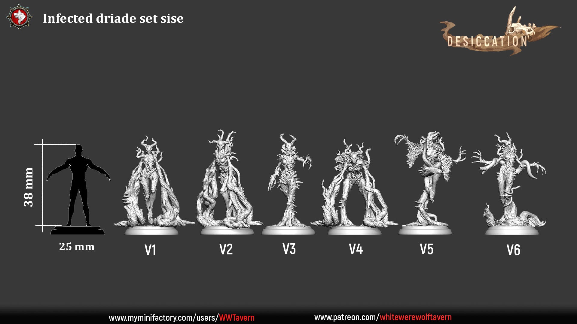 Image shows six resin miniatures labeled V1 to V6, part of the "Infected Dryad - Resin 3d Print -WWT" set from Desiccation. The models depict various stages of transformation into monstrous, plant-like creatures. A scale comparison with a human silhouette indicates the height of 38 mm, perfect for wargames.