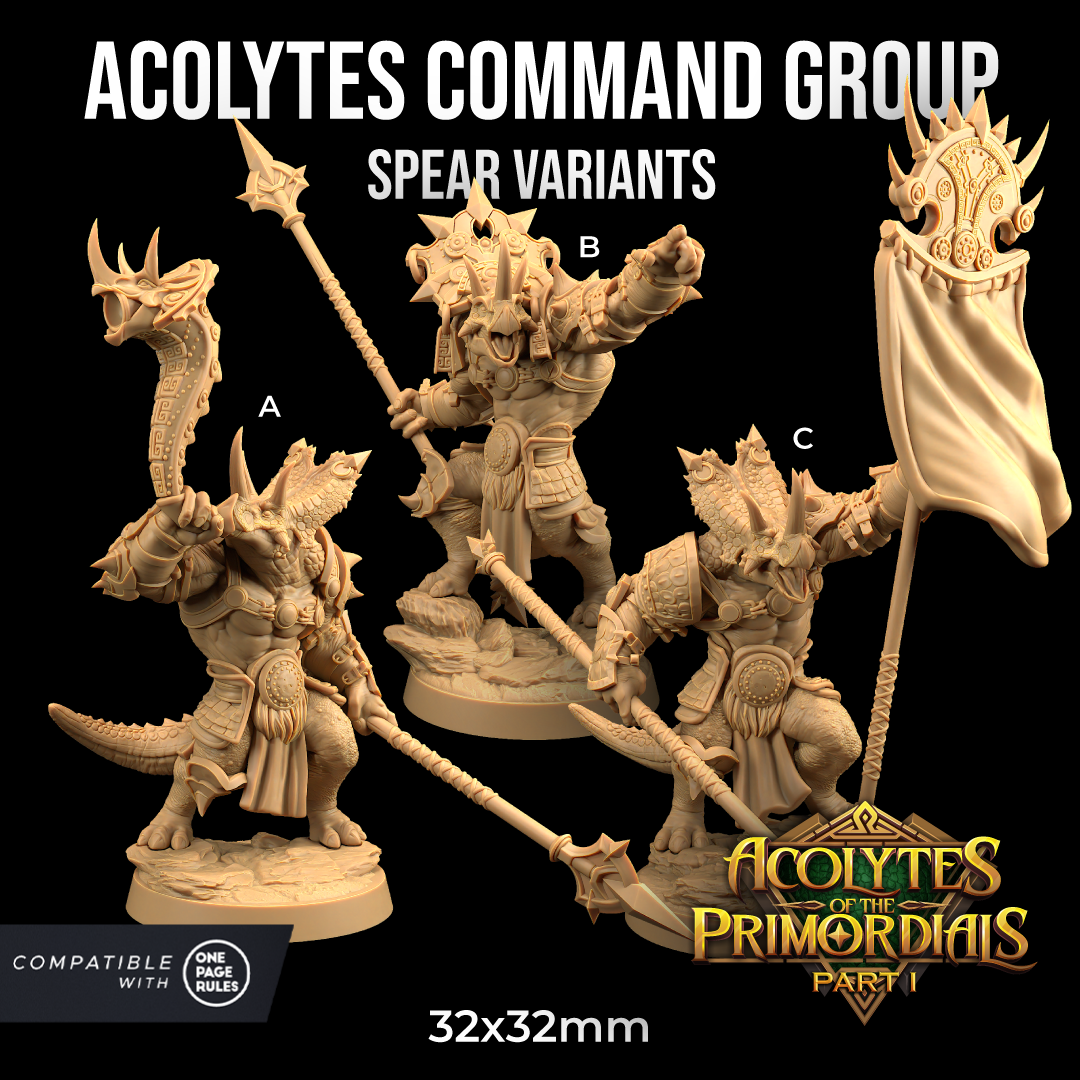 Three detailed resin miniatures of fantasy warrior figures are shown in this image, described as the "Acolytes Command Group - The Dragon Trappers Lodge - 3d Print" with spear variants. They each wear ornate armor and carry spears, standing on round bases. The text mentions compatibility with "One Page Rules" and "Acolytes of the Primordials.