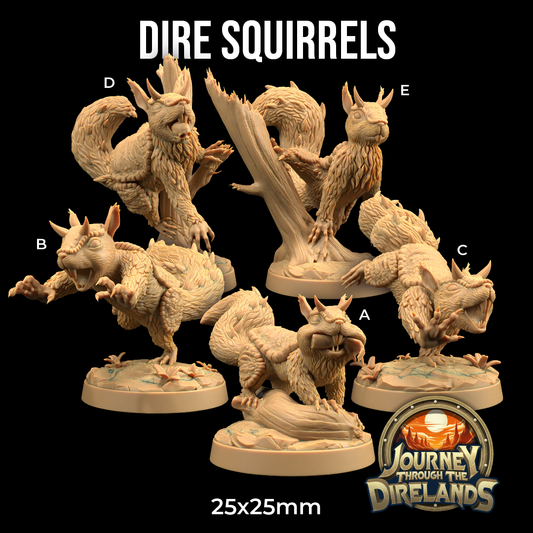Five detailed 3D printed miniatures of dire squirrels in various dynamic poses, labeled A to E. They are depicted with exaggerated features and fierce expressions. The text "DIRE SQUIRRELS - THE DRAGON TRAPPERS LODGE - 3D PRINT" is at the top, and a "Journey through the Direlands" logo is at the bottom right with "25x25mm" size—perfect for Dungeons and Dragons adventures.