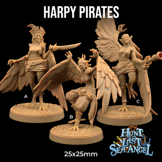 Three detailed 3D printed miniature harpy pirate figures labeled A, B, and C stand posed on round bases. Each has unique pirate attire and harpy features like wings and bird-like legs. The text "Harpy Pirates - The Dragon Trappers Lodge - 3d Print" is at the top, with "Hunt for the Last Sea Angel" at the bottom – perfect for Dungeons and Dragons adventures.
