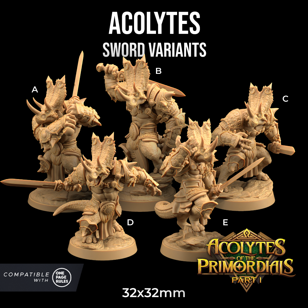A group of five detailed resin miniatures labeled "Acolytes - The Dragon Trappers Lodge - 3d Print" from "Acolytes of the Primordials Part 1." Each figure, labeled A through E, showcases fantasy warrior characters equipped with swords. Compatible with "One Page Rules" and crafted using a 12k printer. Size: 32x32mm.