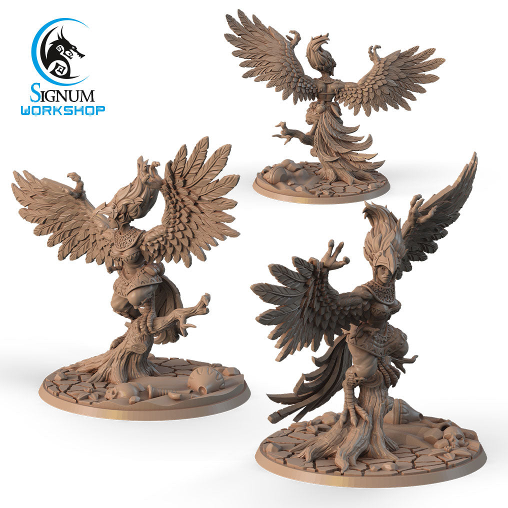 Three detailed, fantasy-themed 3D printed miniatures of bird-like humanoid creatures are shown in various dynamic poses. They have elaborate feathered wings, talon-like feet, and expressive postures. Each figure stands on a textured base with "The Sentinel of Desert - Signum Workshop - 3d Print" visible—perfect for Dungeons and Dragons campaigns.