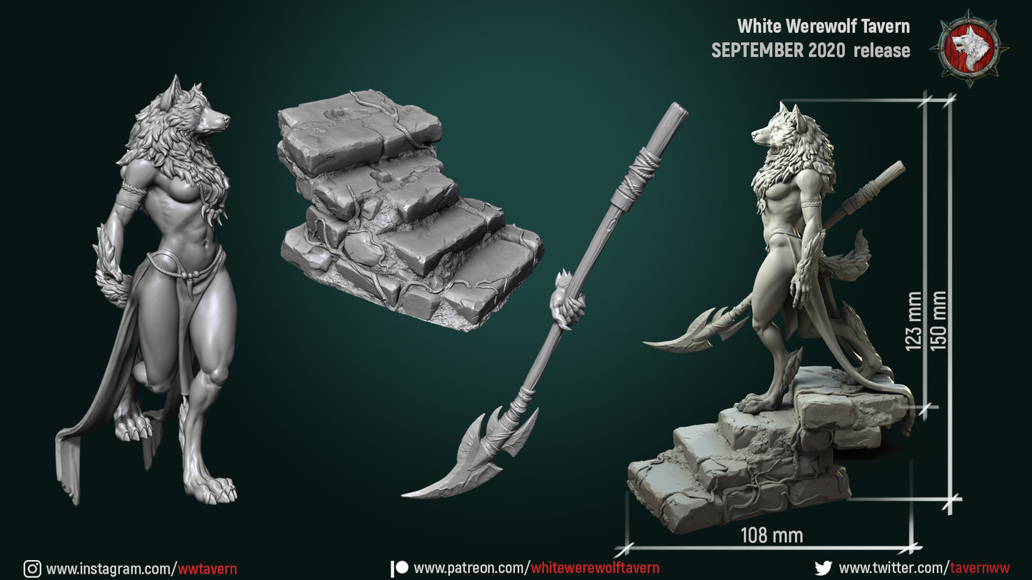 Digital render of the Oleana Werewolf Queen - Resin 3D Print -WWT miniature, featuring a human-like body, wolf head, and tail. This resin miniature comes with a stone stairway base and spear as accessories. Measurements are provided, promoting its September 2020 release by White Werewolf Tavern. Perfect for wargames enthusiasts. Social media links at the bottom.